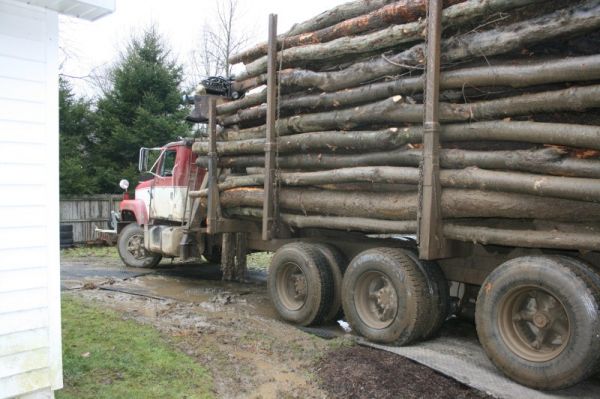 załadunek drewna z wykorzystaniem drogi tymczasowej
