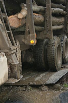 załadunek drewna z wykorzystaniem drogi tymczasowej