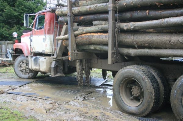 załadunek drewna z wykorzystaniem drogi tymczasowej